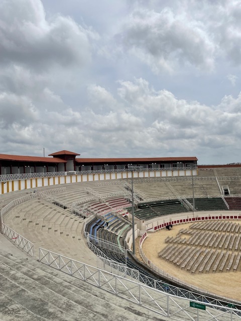 Rénoavtion des façades – SARL Vezin – Arènes de Béziers